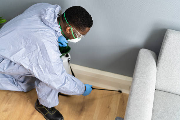 Best Residential Pest Control  in Freeland, WA